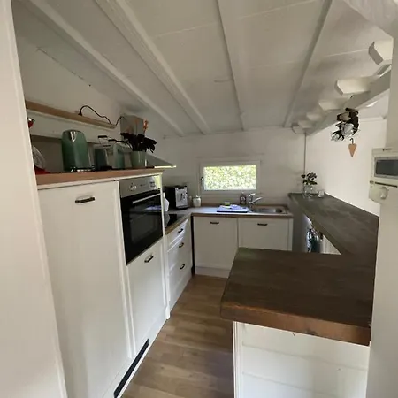 Sternschnuppe Limbach (Baden-Wurttemberg)