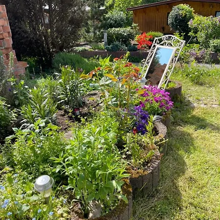 Sternschnuppe * Limbach (Baden-Wurttemberg)