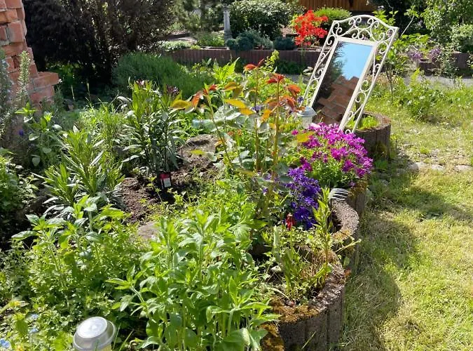 Sternschnuppe * Limbach (Baden-Wurttemberg)